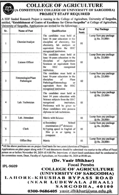 College Of Agriculture University Of Sargodha Jobs 2024