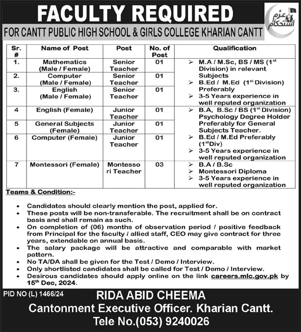 Cantt Public High School & Girls College Kharian Jobs 2024