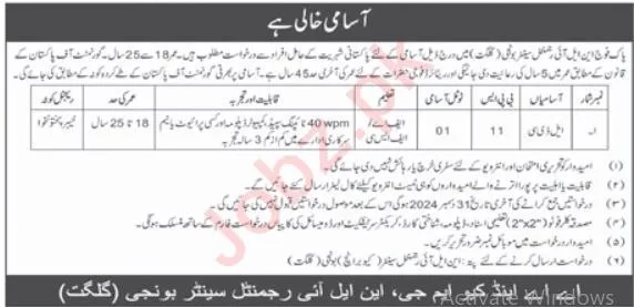 Pakistan Army NLI Regimental CenterGilgit Job 2024