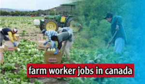 Farm Labourer Jobs In Canada