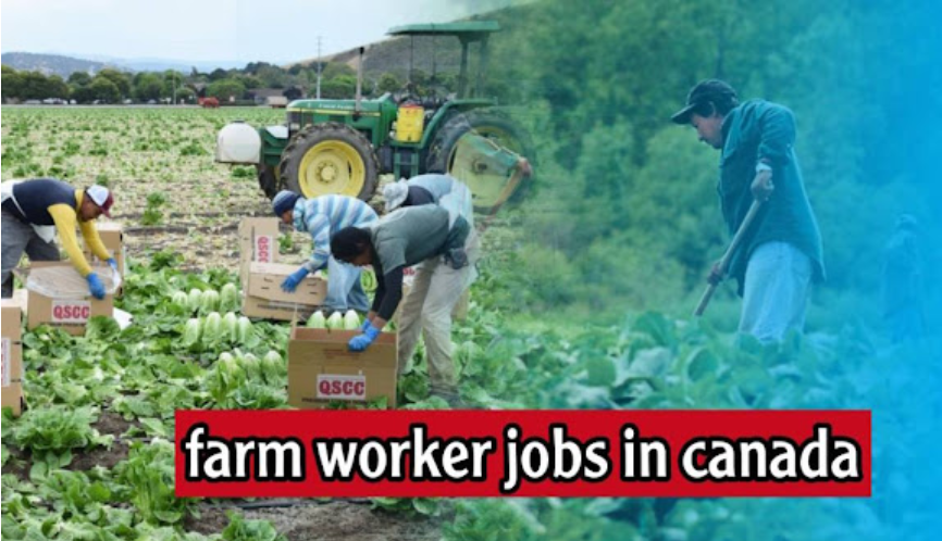 Farm Labourer Jobs In Canada